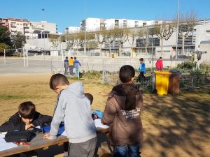 20170404_093701 (Small)