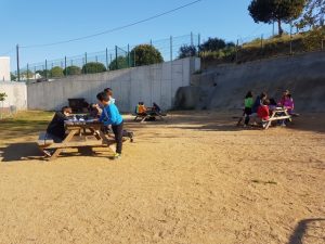 20170404_094344 (Small)