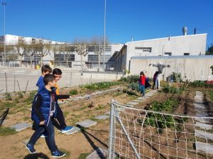 20170404_095309 (Small)