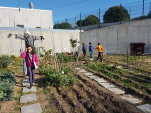 20170404_095335 (Small)