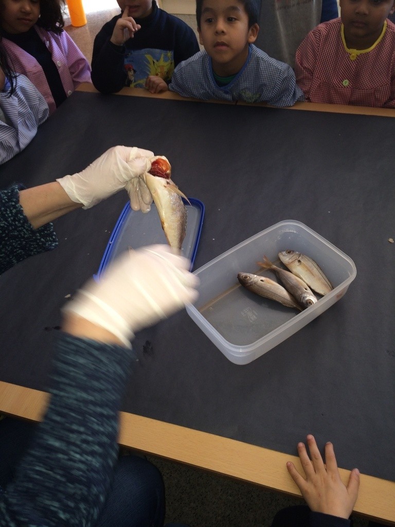 IMG_6508.redimensionada.girada