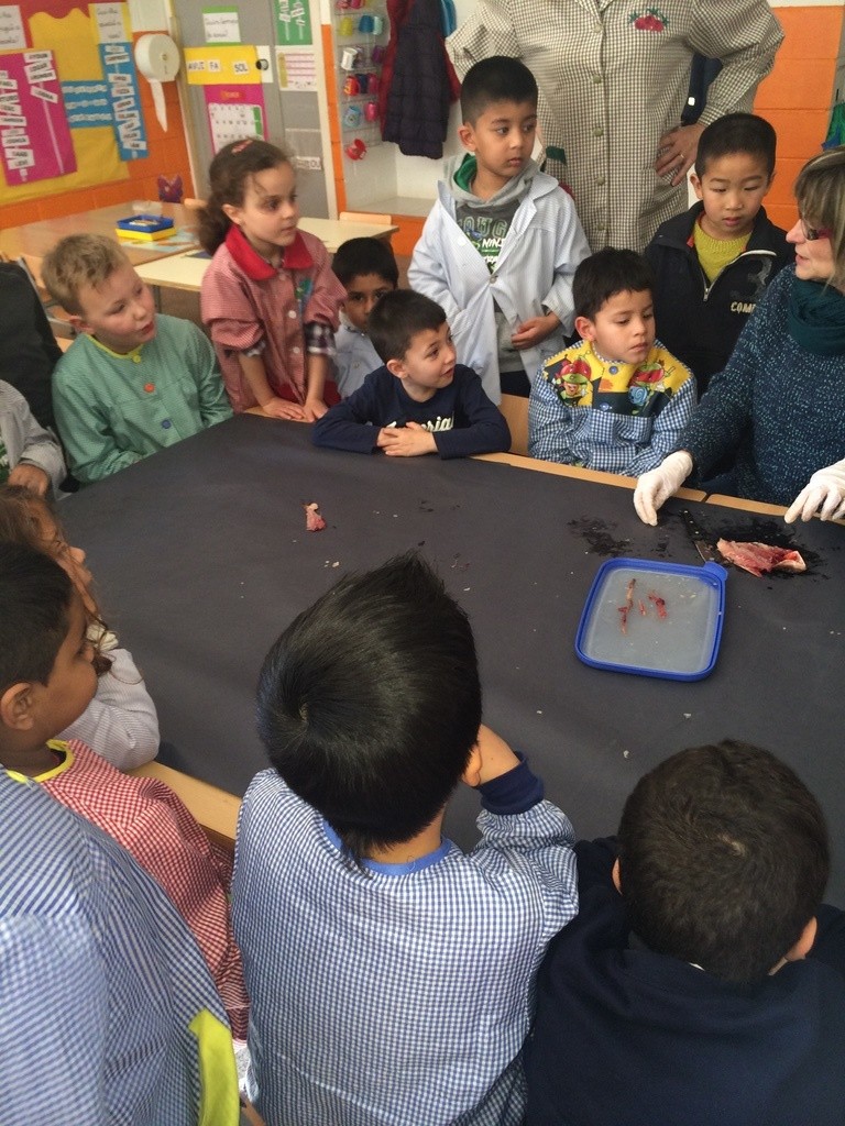 IMG_6519.redimensionada.girada