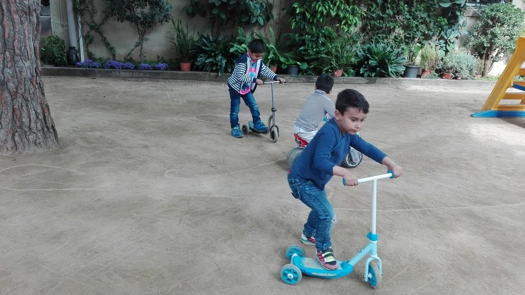 IMG_20160526_101759.redimensionada