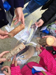 unadjustednonraw_thumb_f06