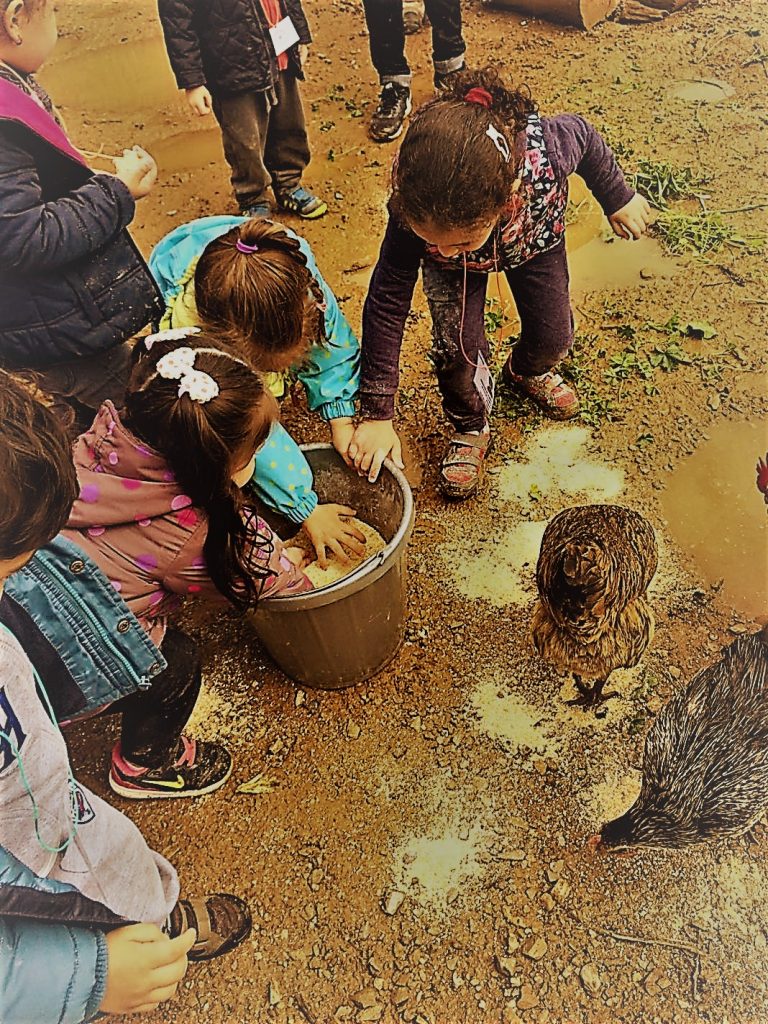 IMG-20170409-WA0010 (2)