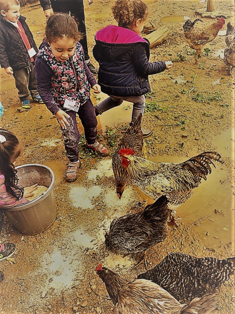 IMG-20170409-WA0011 - copia (2)