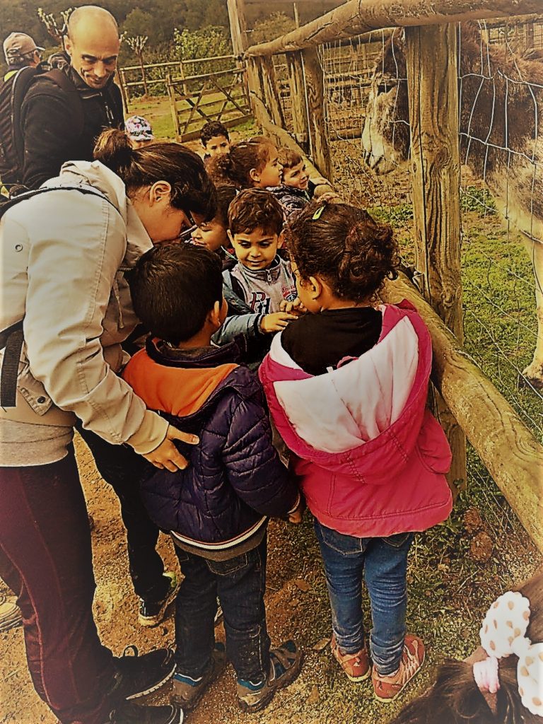 IMG-20170409-WA0012 - copia (3)