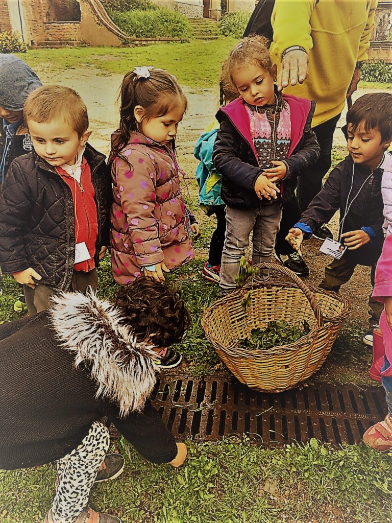 IMG-20170409-WA0013 - copia (3)