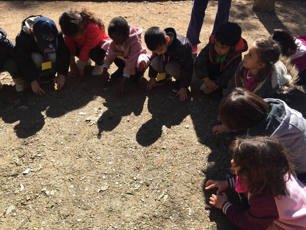 IMG-20170405-WA0015 - copia