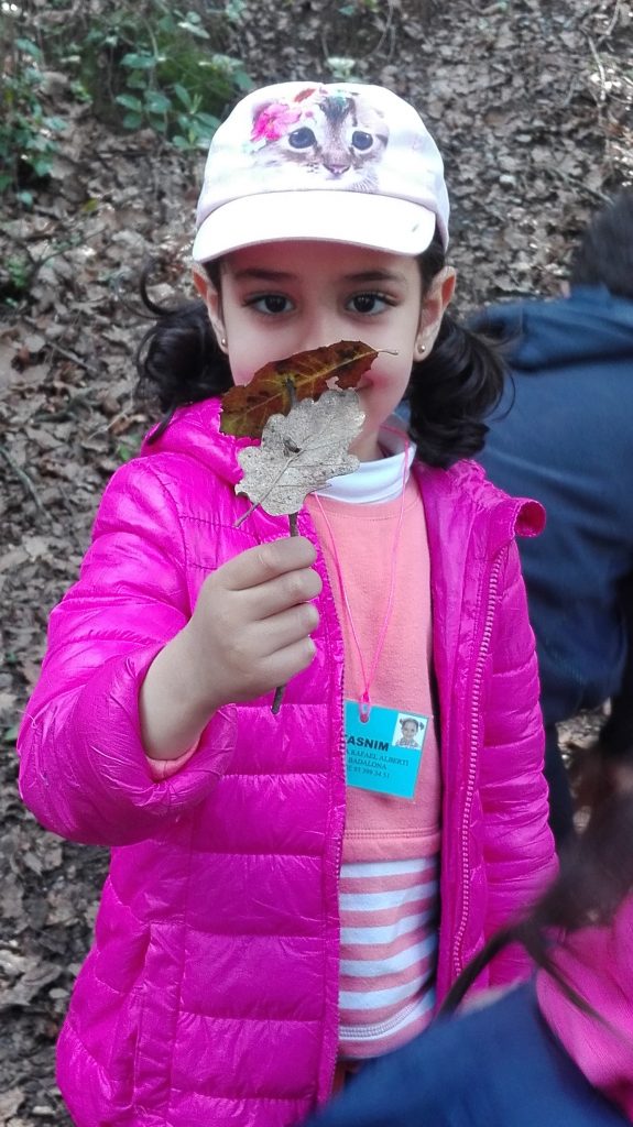 IMG_20170328_123724 (2)