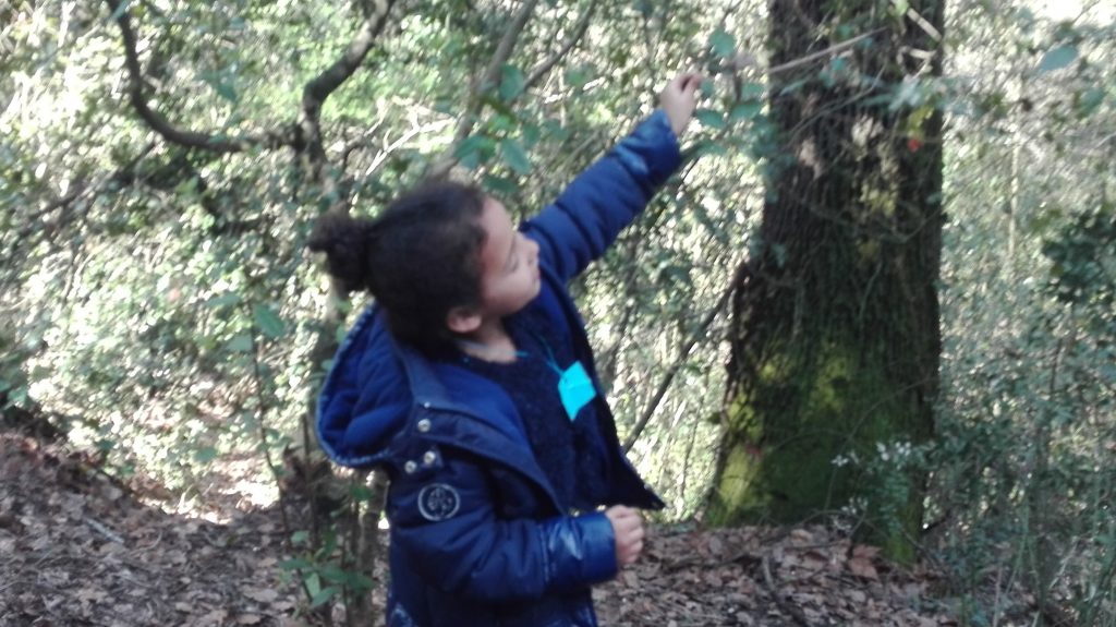 IMG_20170328_123752 - copia (2)