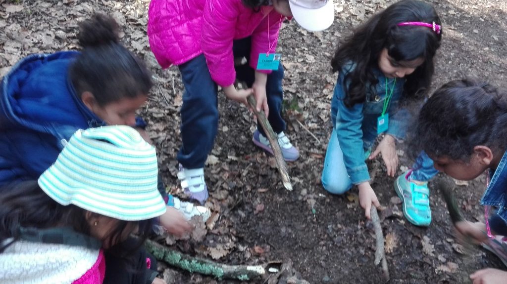 IMG_20170328_124207 (2)