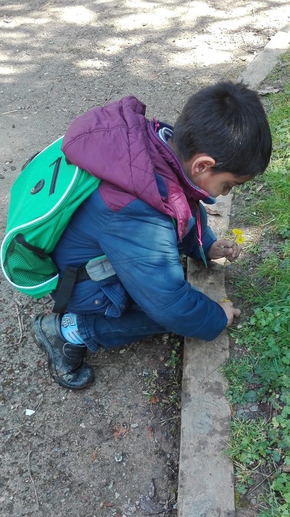 IMG_20170328_131422 (2)