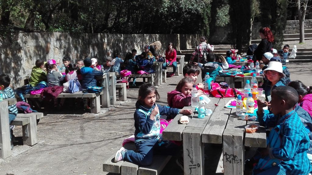 IMG_20170328_141012 (2)