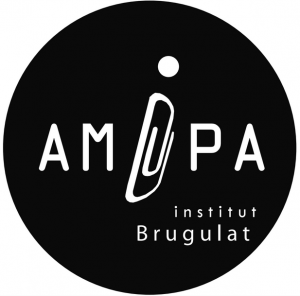 logo amipa2