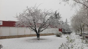 IMG-20180228-WA0041 (1)