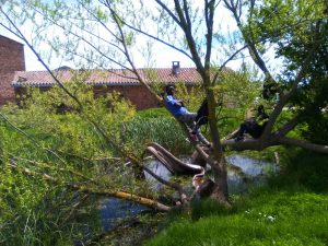 IMG-20180516-WA0004 - Uru Guinart