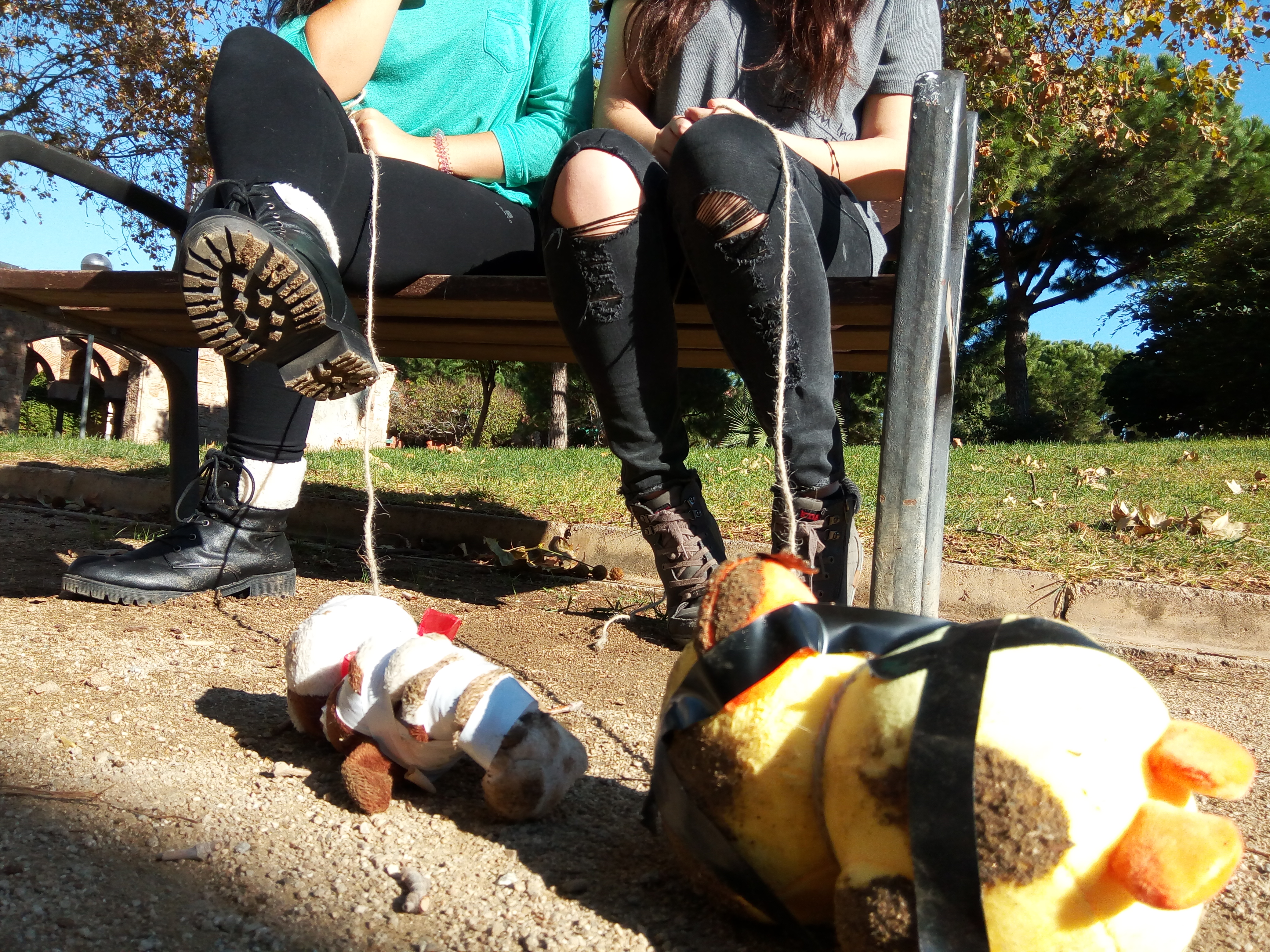 takingatoyforawalk_imatge5