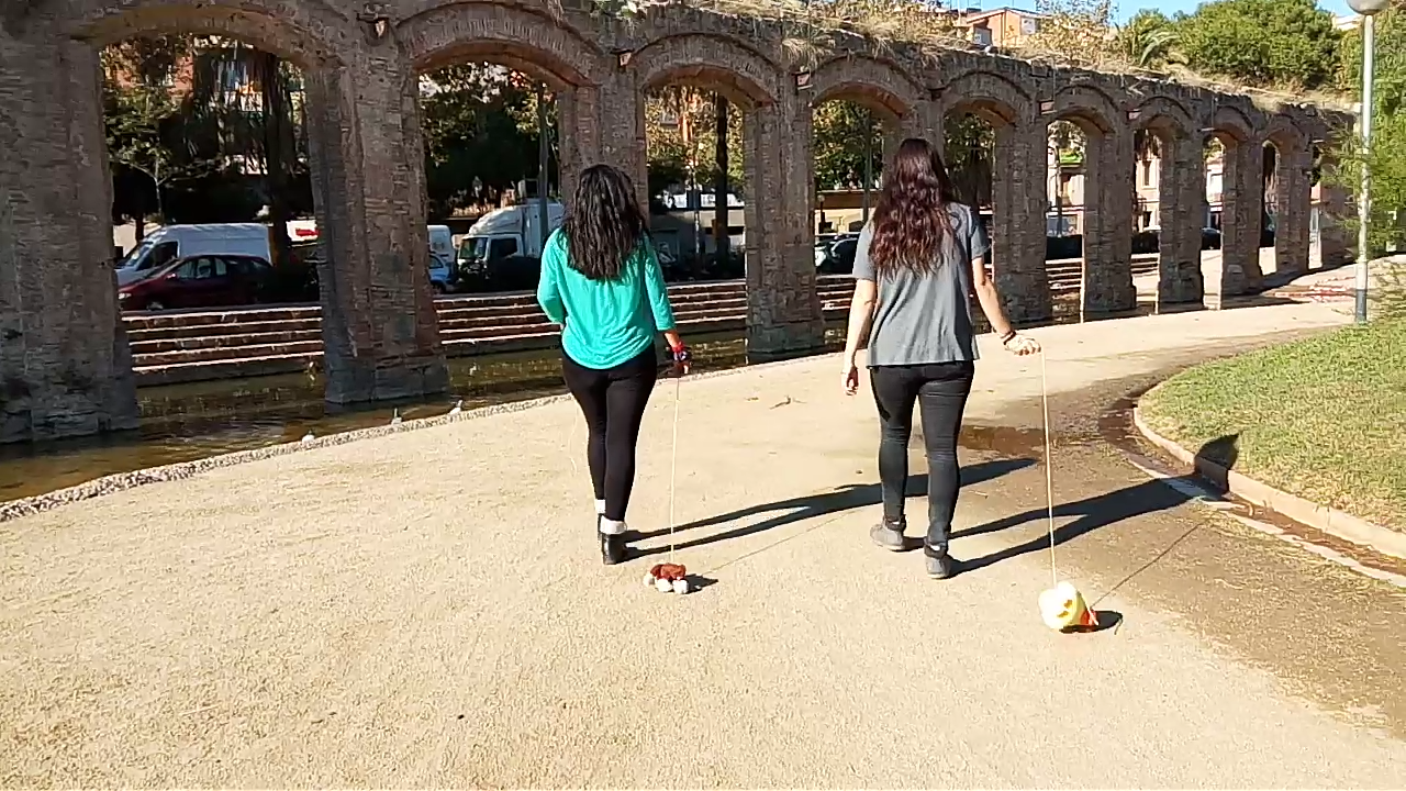 takingatoyforawalk_imatge2