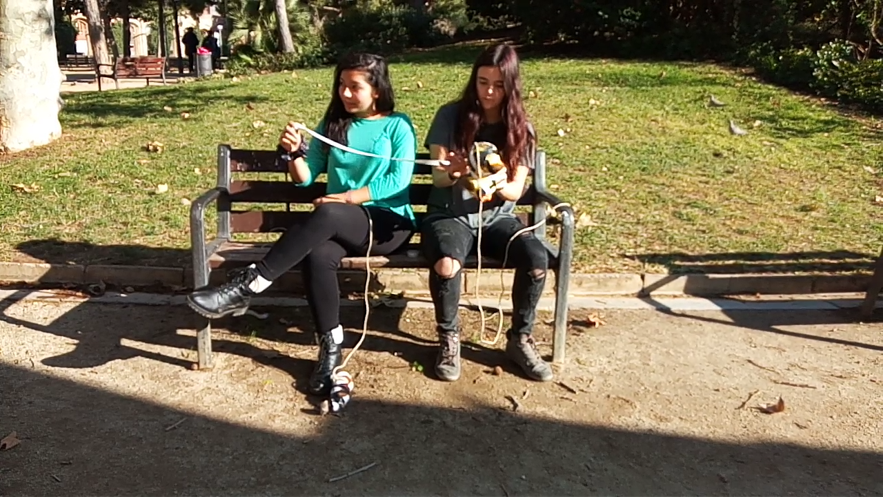 takingatoyforawalk_imatge6