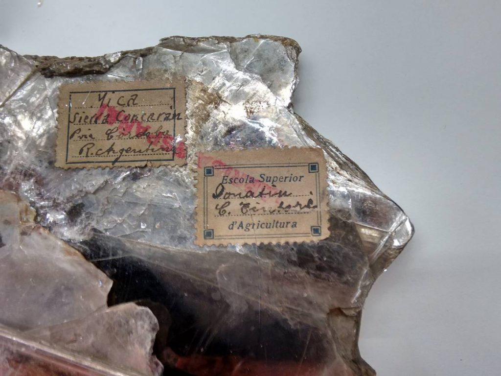 mica-argentina-reduida