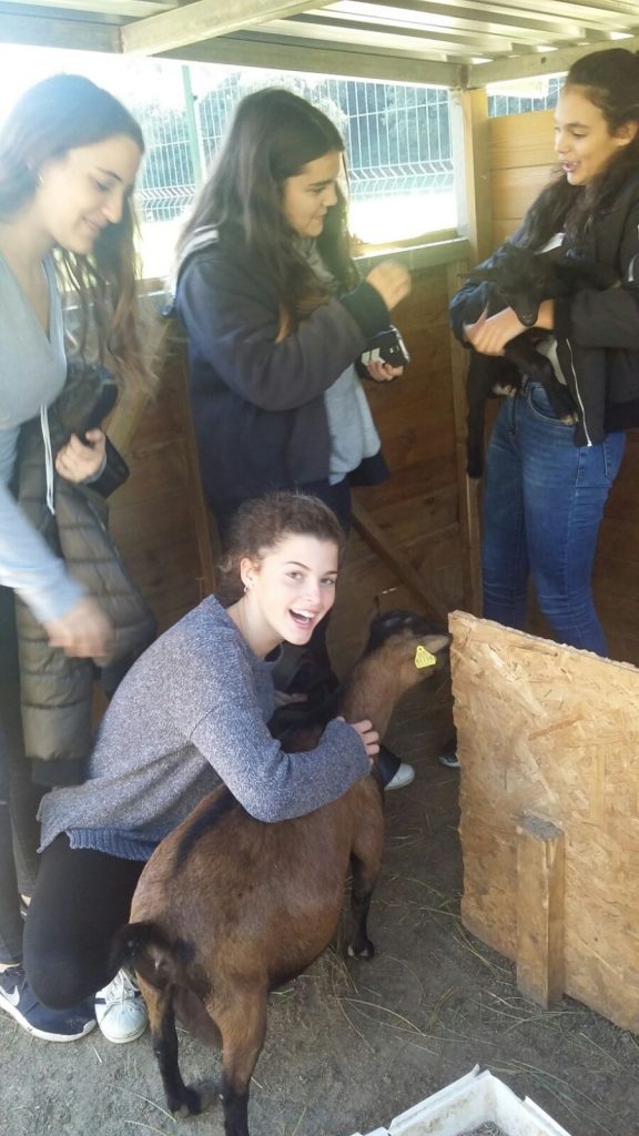 2016-11-20-photo-00000198