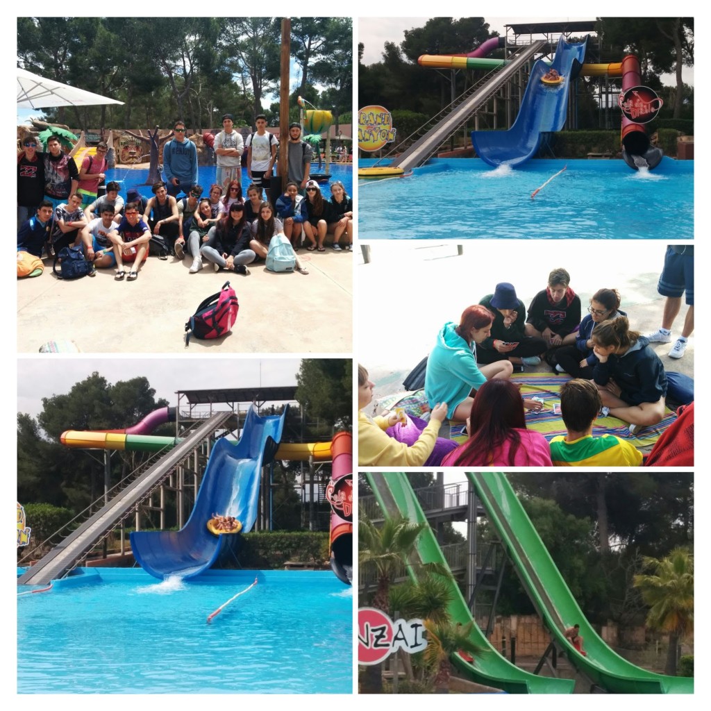 6387dafabc0f978290df8a96e1999ccf-COLLAGE