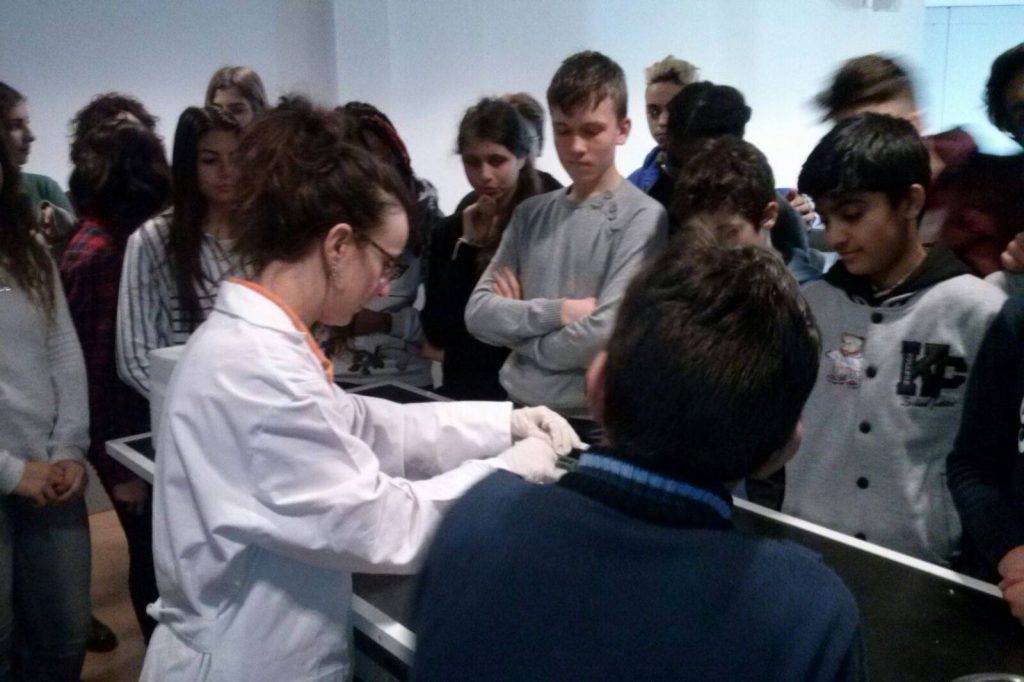 16602503_1867920886812952_1131967466460744280_o