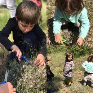 2F8CE885-7FC2-45B6-8923-05D831905AD0