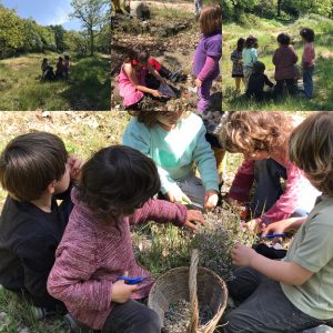 53843EEF-4C31-4E23-9FF6-F13C4475535A