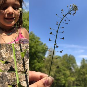 C5C9A467-6E63-4B09-9508-5D65AC64C0FD