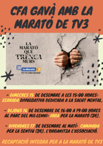 Marato de TV3