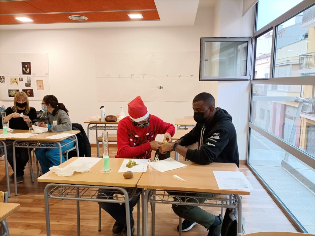 Extraccio d'ADN del kiwi 1