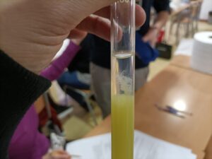 Extracció d'ADN a l'aula del CFA Gavà