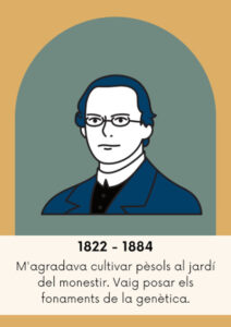 M'agradava cultivar pèsols al jardí del meu monestir.