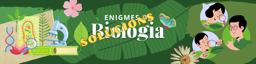 Solució enigmes de biologia