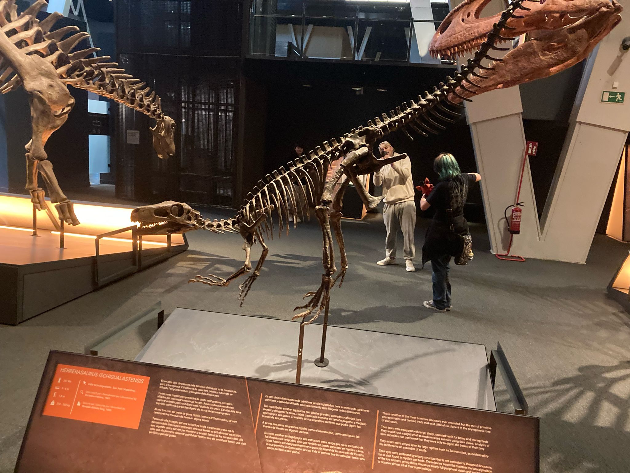 PHOTO-2024-02-28-21-33-27_3