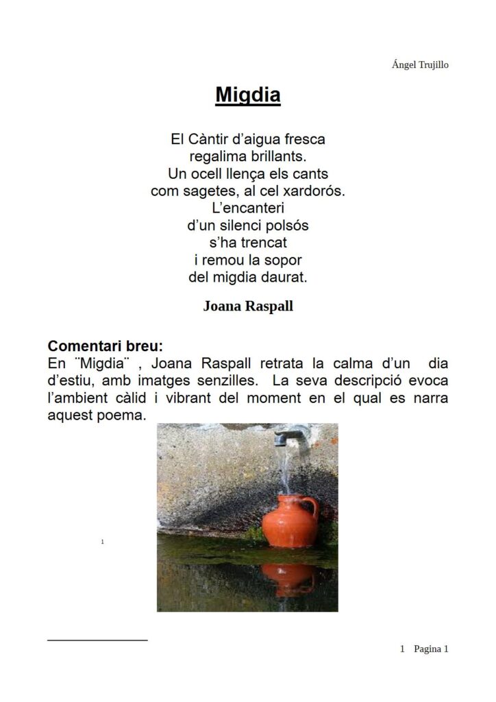 Poema Migdia de Joana Raspall