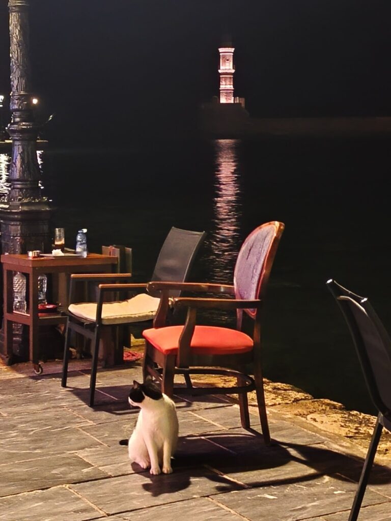 Vista del port de Khània per la nit