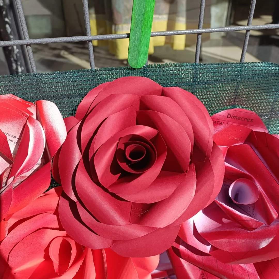 FB_IMG_1715860326812