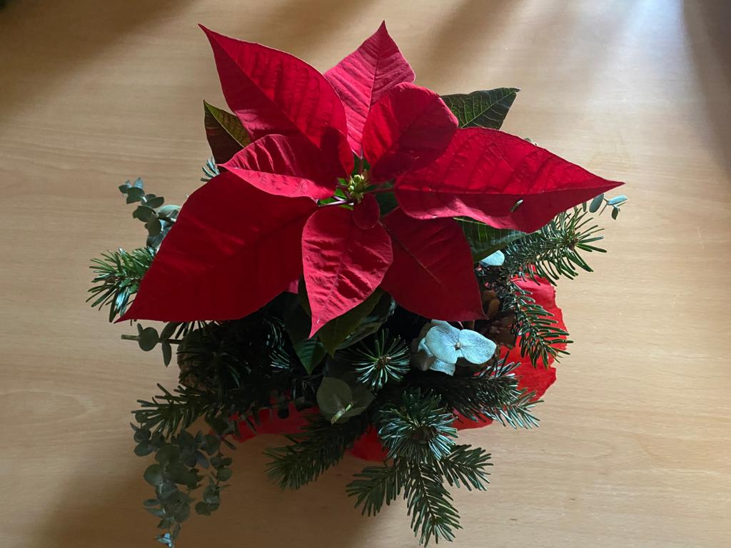 thumbnail_IMG-20201211-WA0038