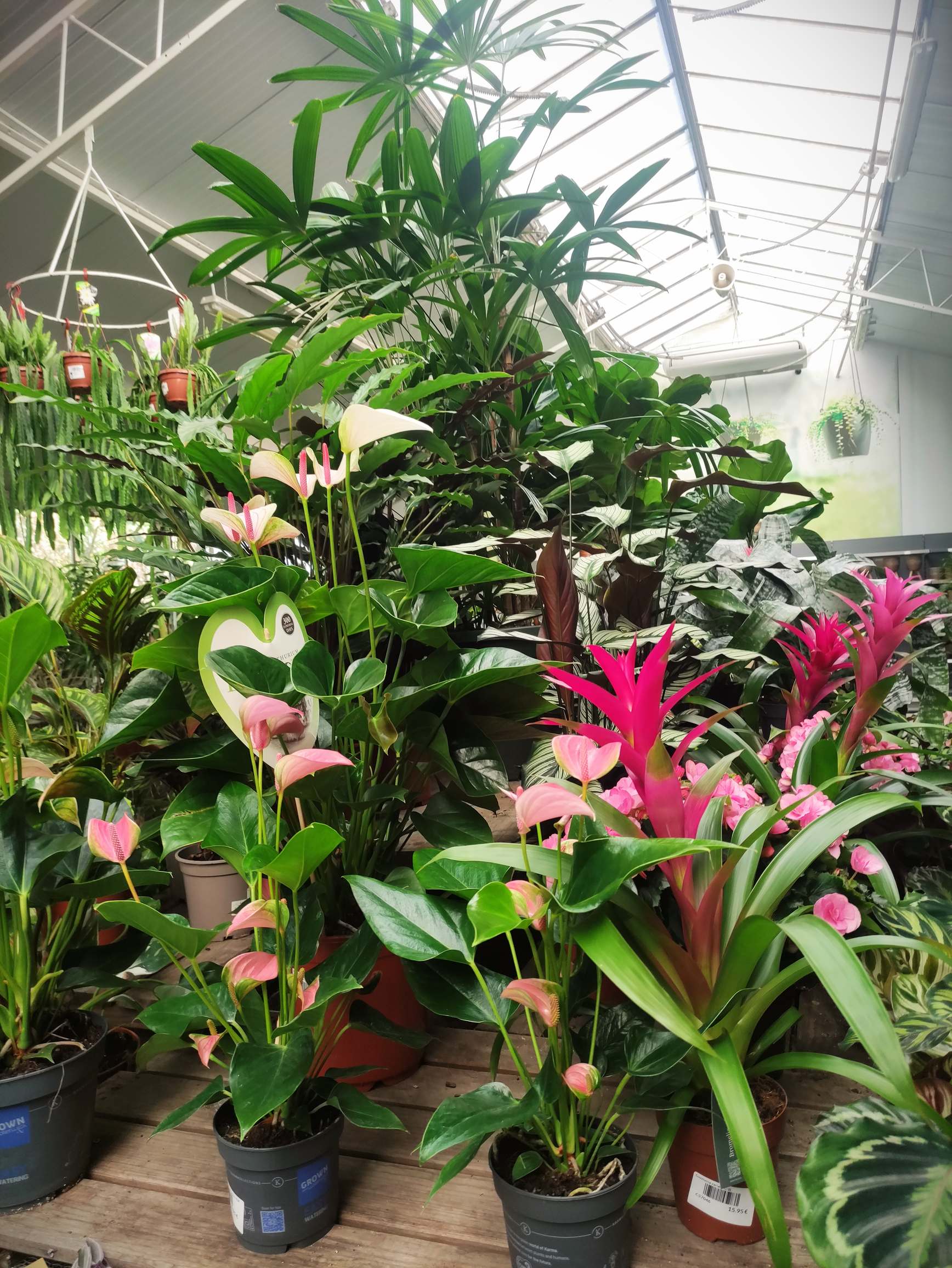 IMG_20250226_102845_resultat