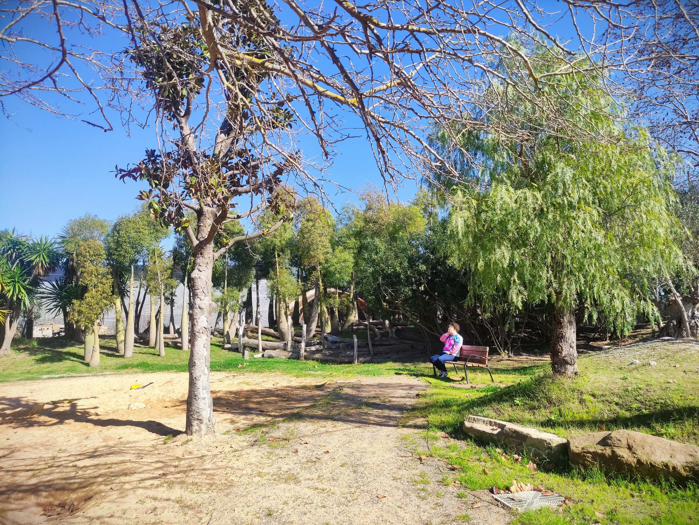 IMG_20250226_113532_resultat