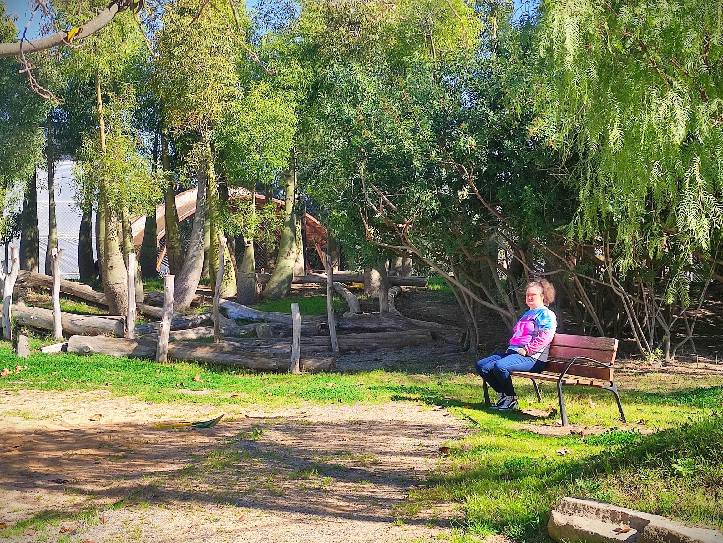 IMG_20250226_113541_resultat