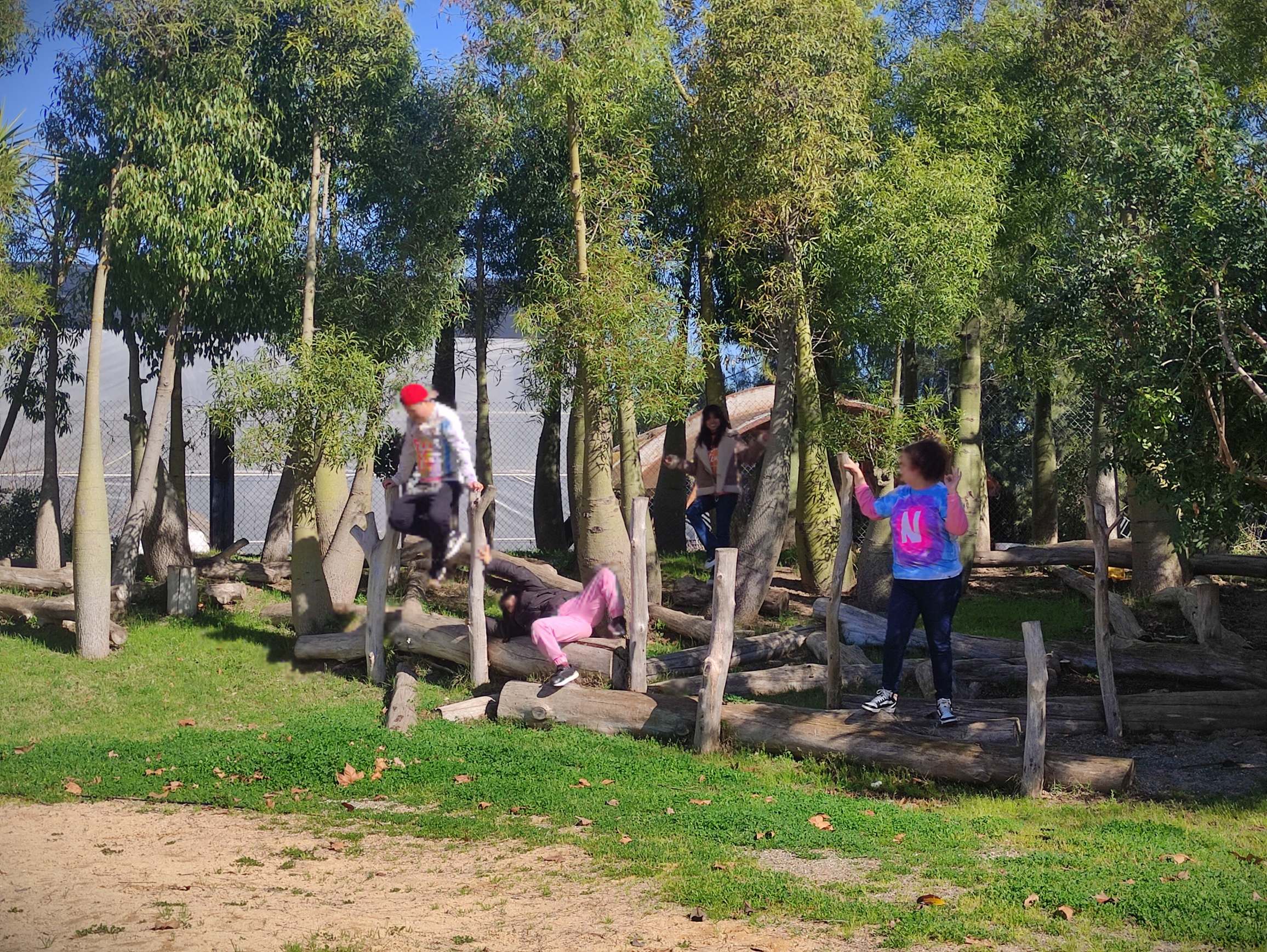 IMG_20250226_114129_resultat