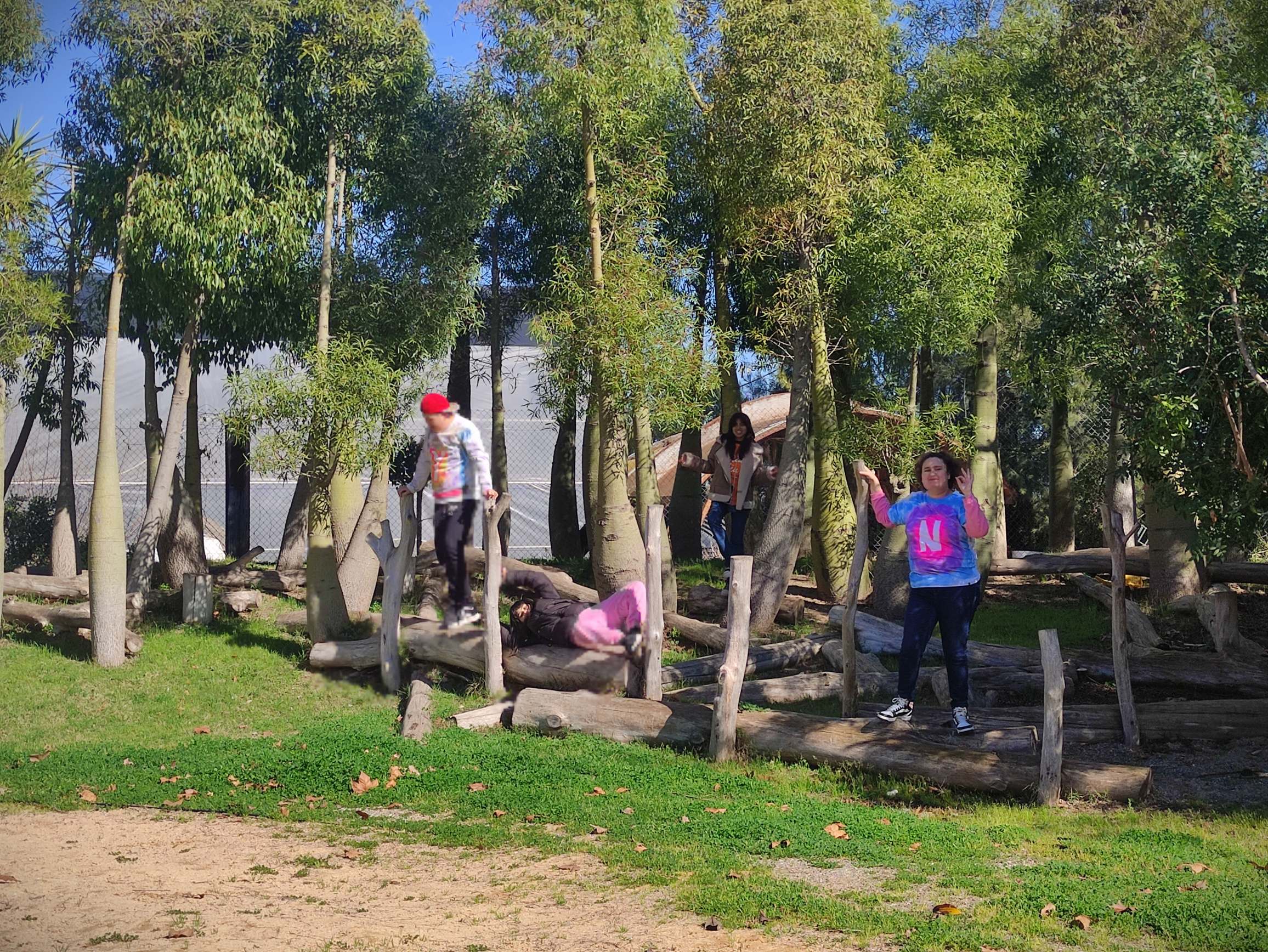 IMG_20250226_114130_resultat