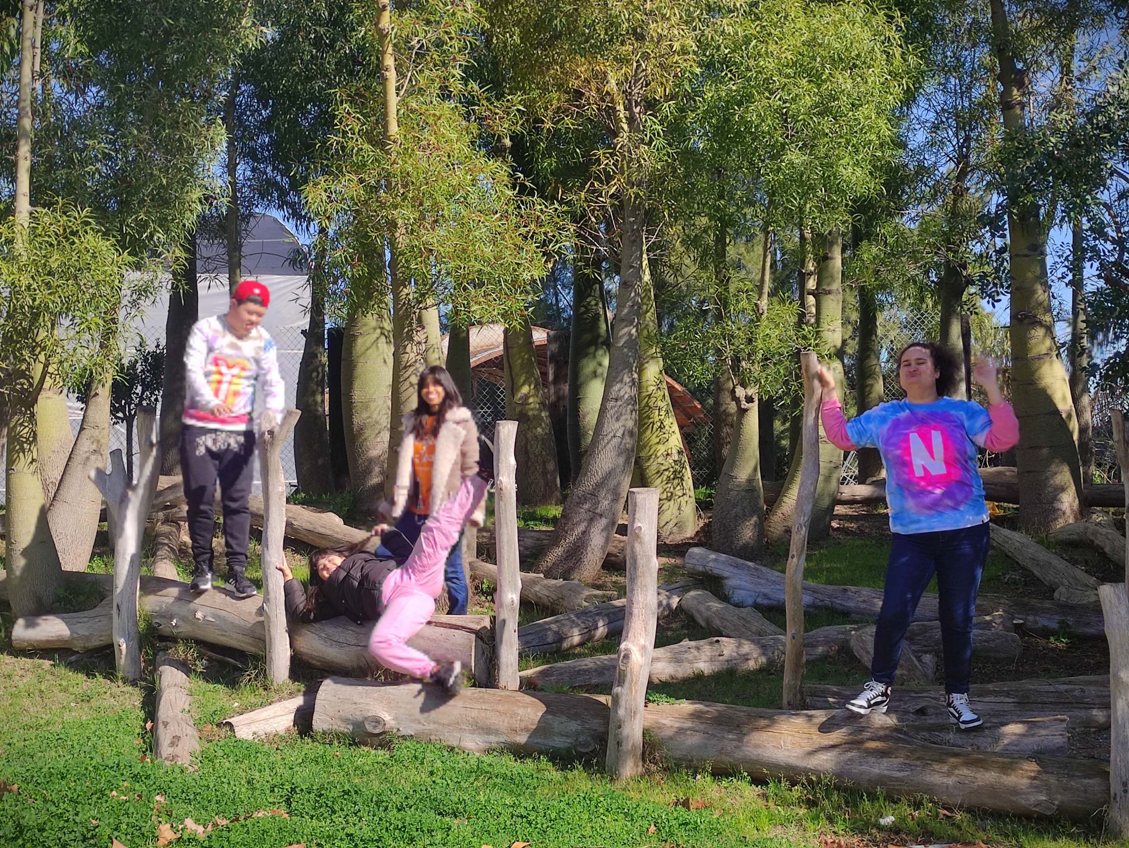 IMG_20250226_114142_resultat