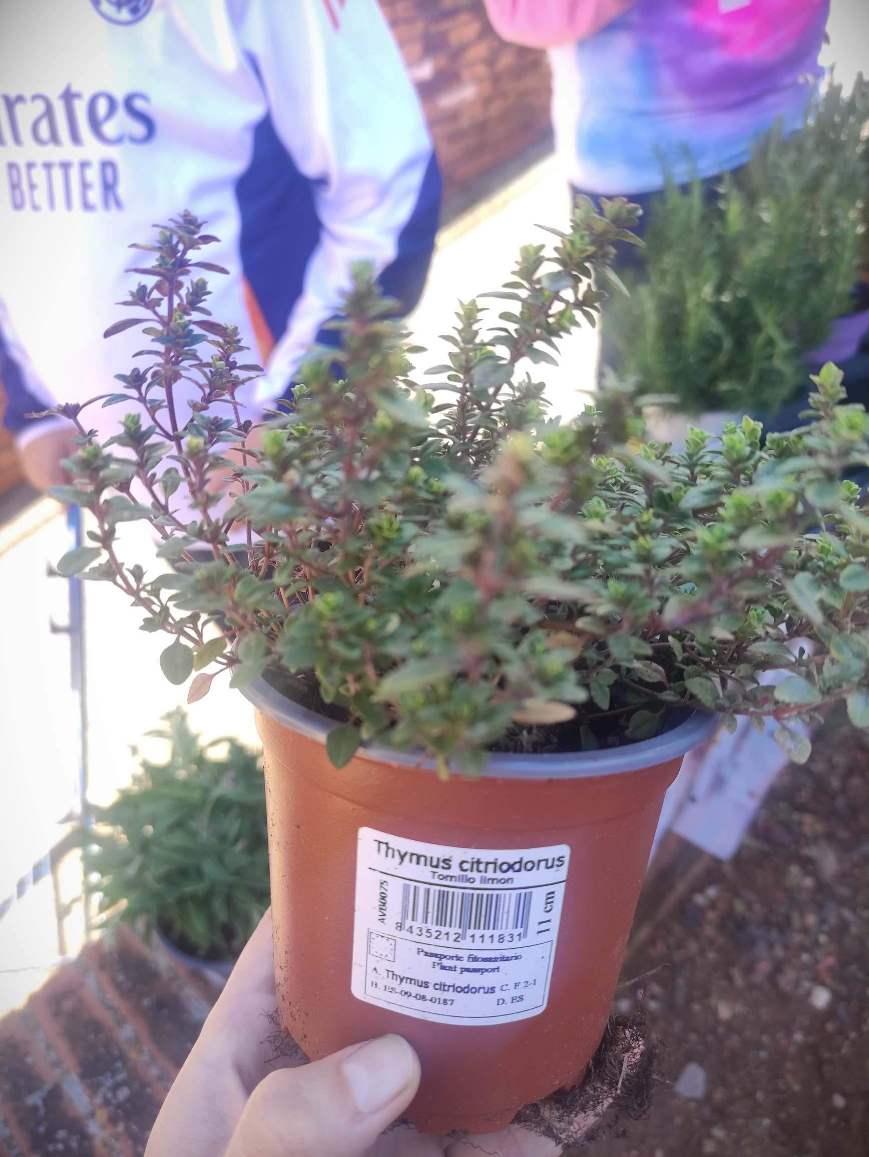 IMG_20250226_155647_resultat