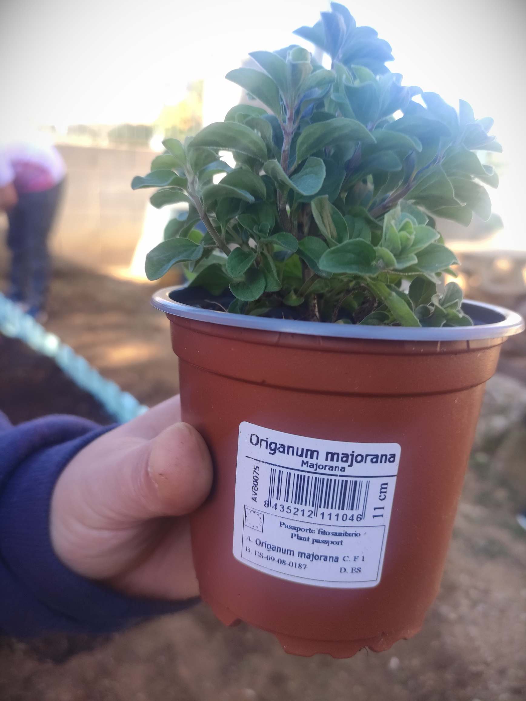 IMG_20250226_155700_resultat