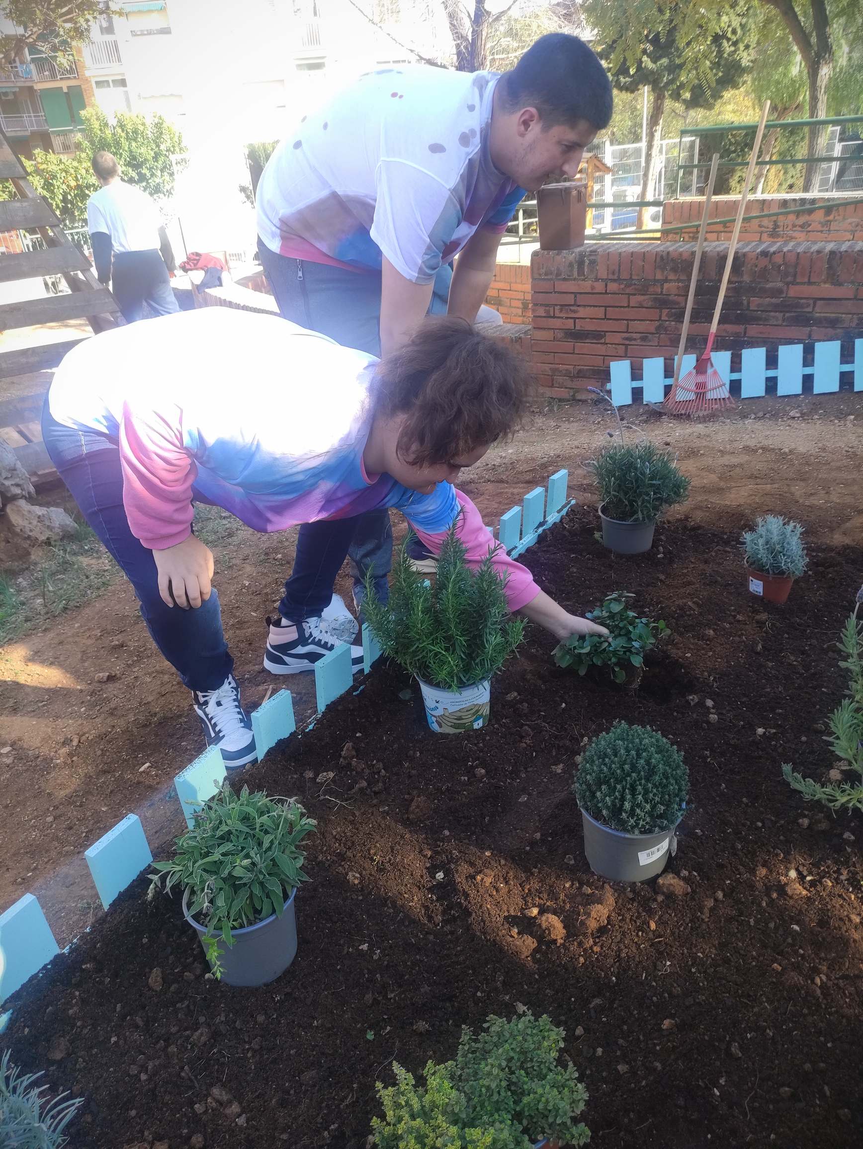 IMG_20250226_160113_resultat